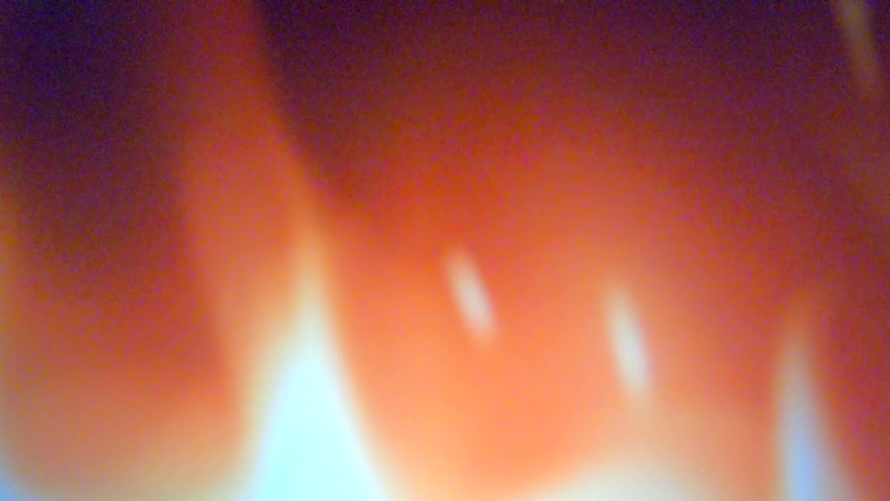 篝火的火焰视频素材