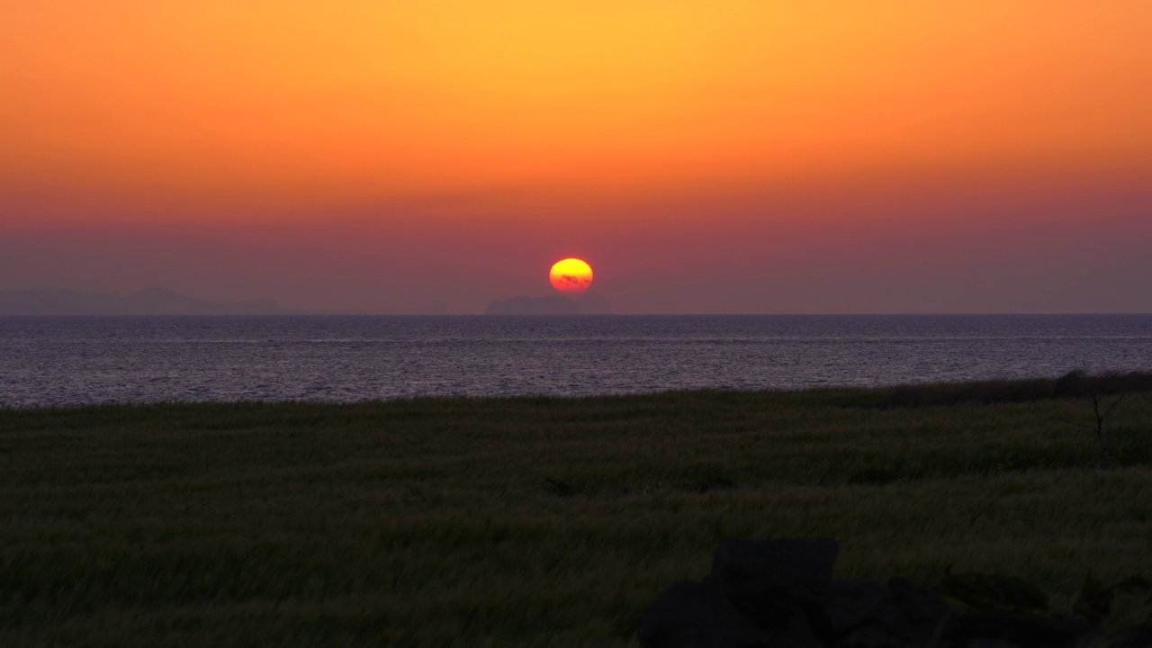 大麦田的夕阳/济州岛，韩国视频素材