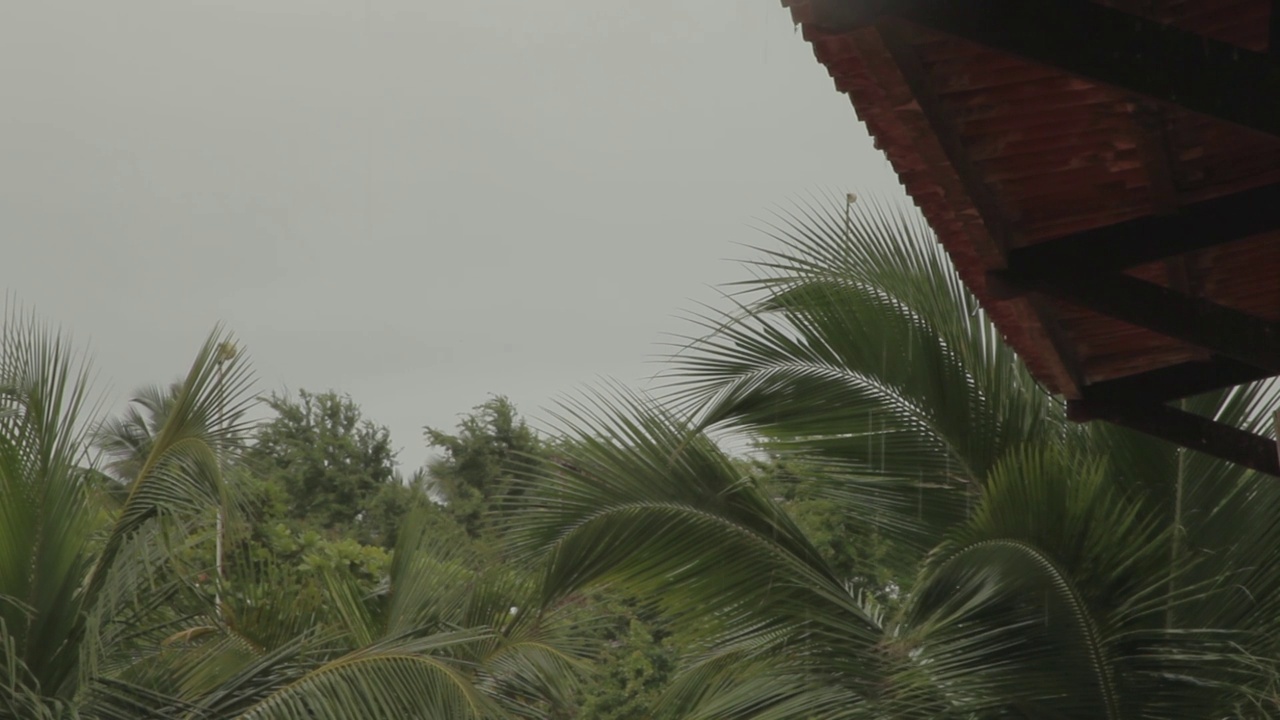 秋天的一个阴天，天空灰蒙蒙的，雨水落在屋顶上。视频下载