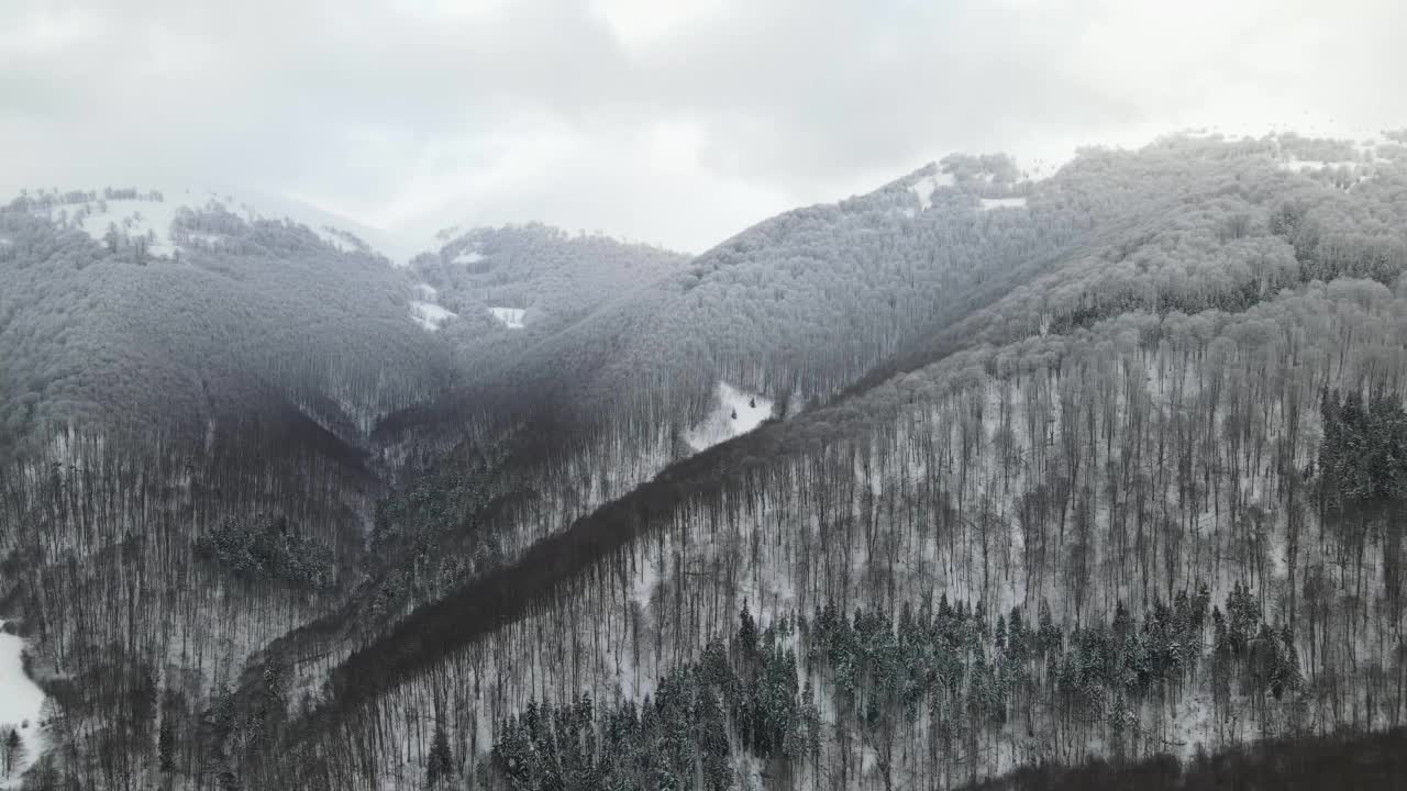 令人惊叹的空中飞行在雾蒙蒙的山脉，草地和白雪覆盖的山峰在冬季。金巴山，乌克兰喀尔巴阡山脉，4k鸟瞰图。视频素材