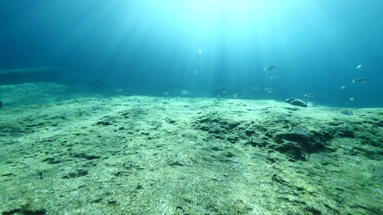 鱼的风景水下太阳光束阳光水下地中海太阳照耀放松的海洋风景视频素材