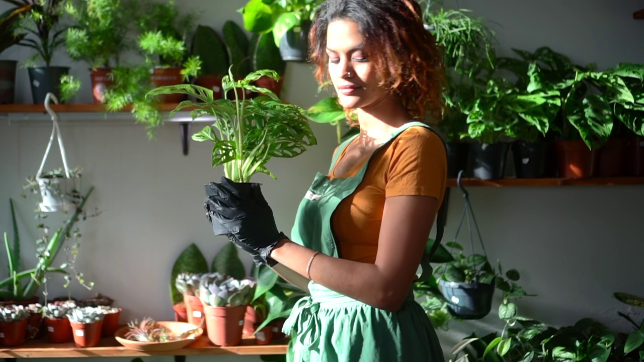 家庭和植物视图的妇女照顾绿色的室内植物在客厅spbd视频下载