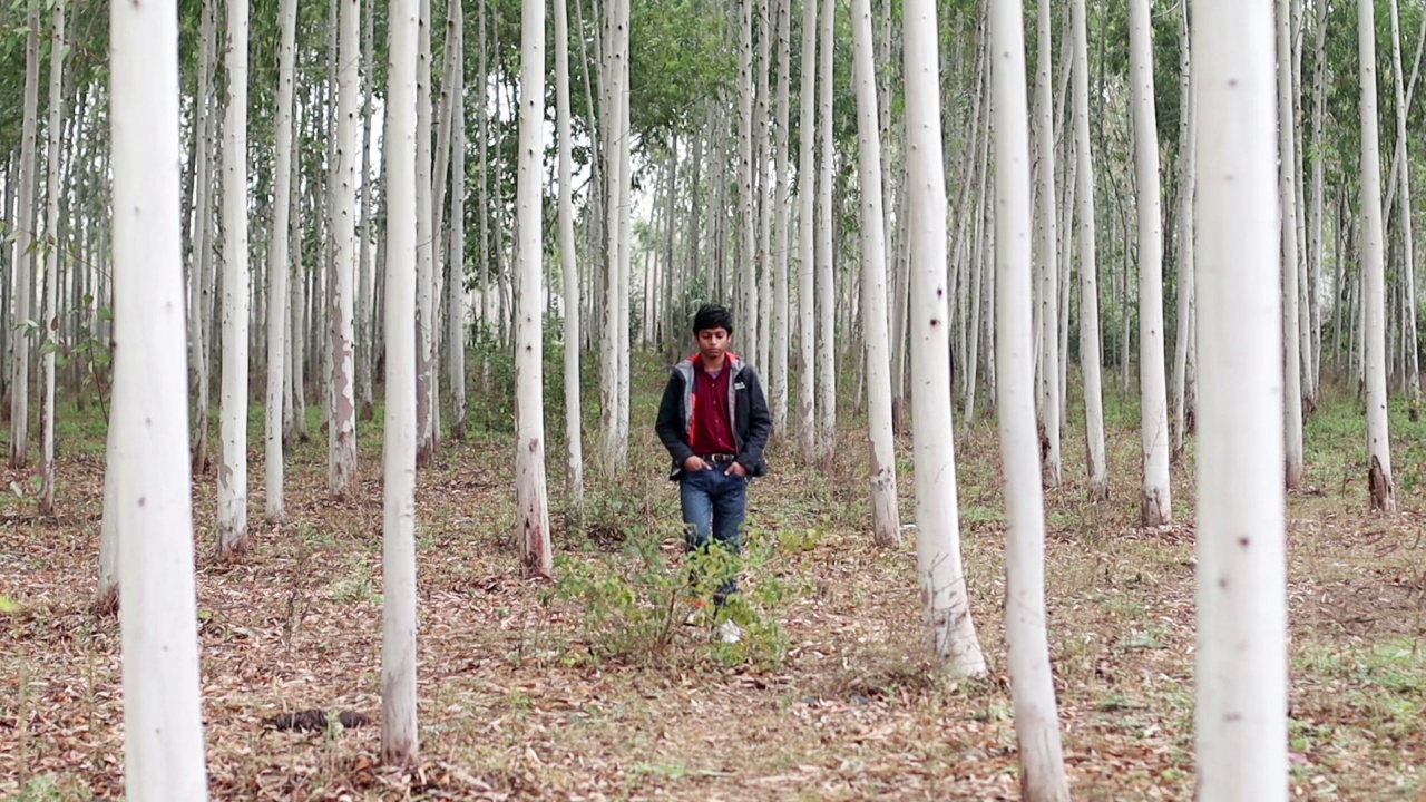 慢动作，前面的观点，十几岁的男孩走在树林视频素材