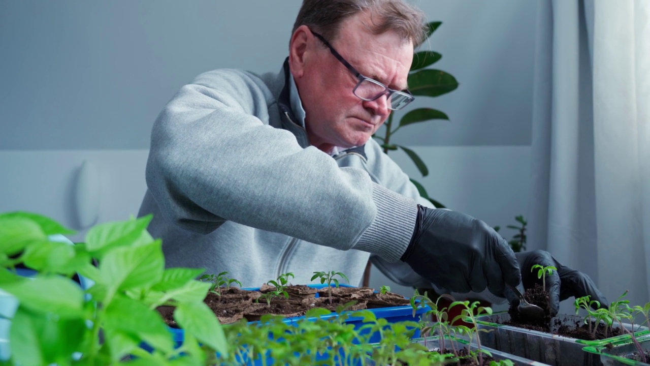 一位戴眼镜的老人正在不同的泥炭盆里种植幼苗。幼苗视频素材