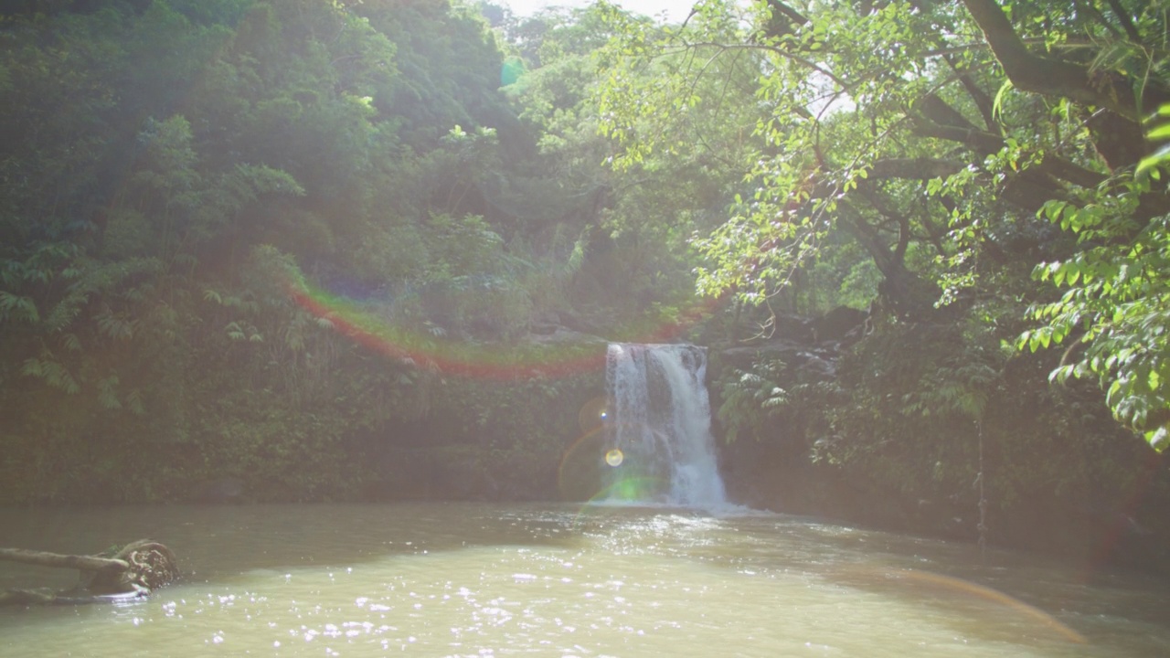 一名男子在夏威夷瀑布徒步旅行后休息视频素材