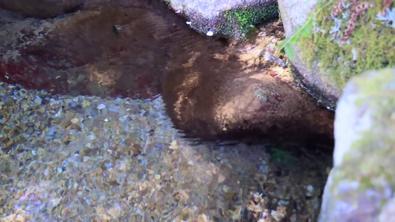 纯净的泉水从岩石间流出视频素材