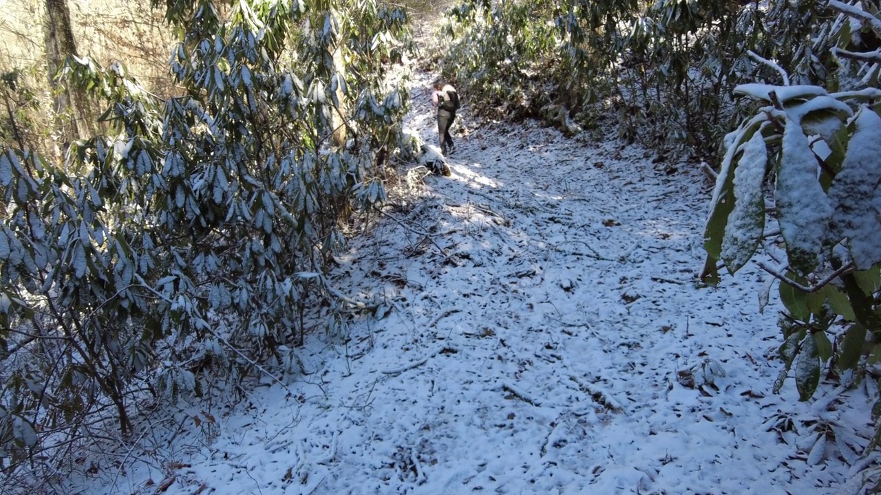 雪覆盖的杜鹃花叶潘女徒步旅行者视频素材