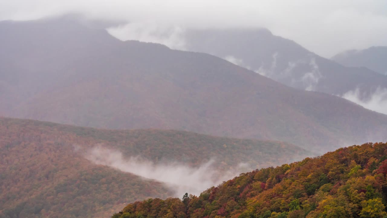 蓝岭公园路雾缕在日落的时间流逝视频素材