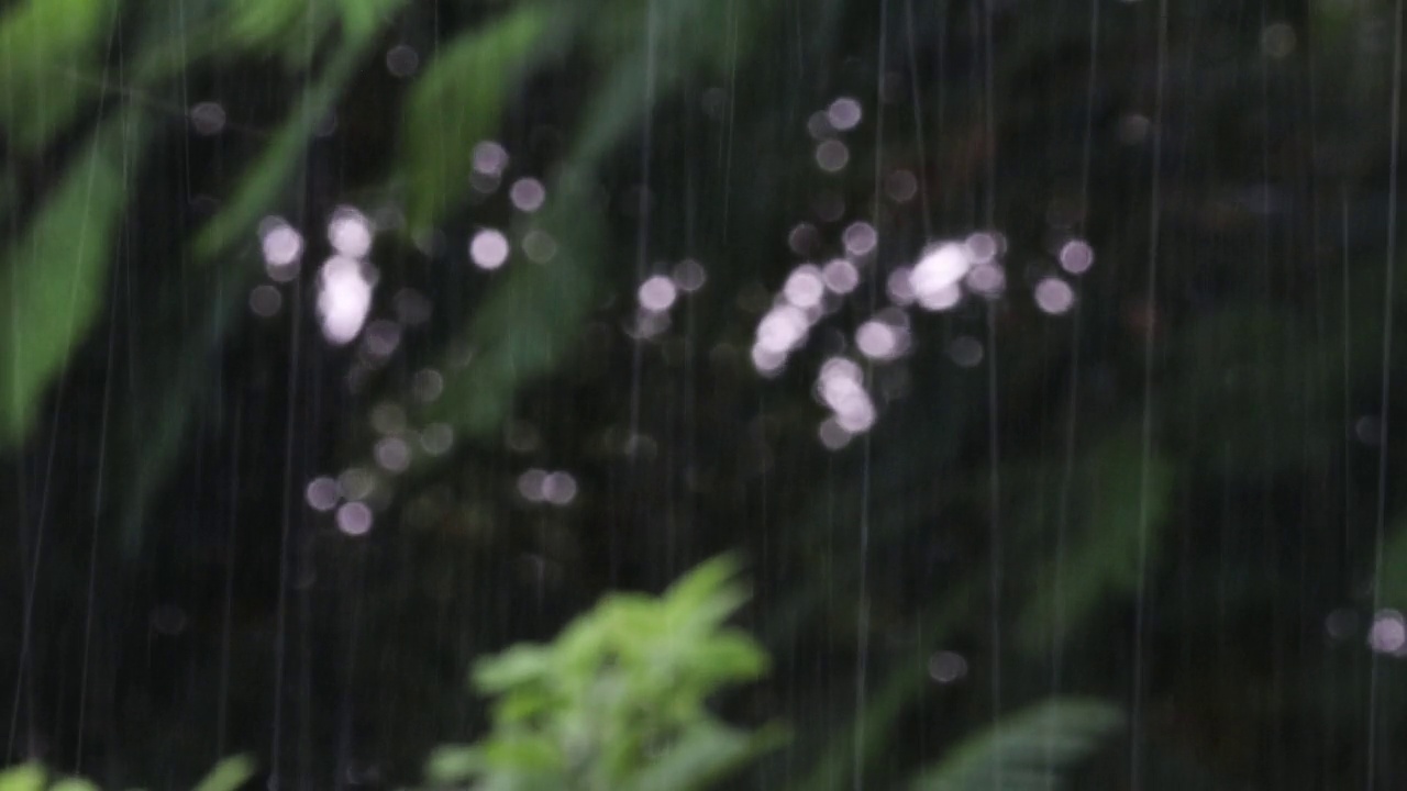 由于气旋风暴和强风，散焦的雨水倾盆而下，模糊的自然背景视频素材