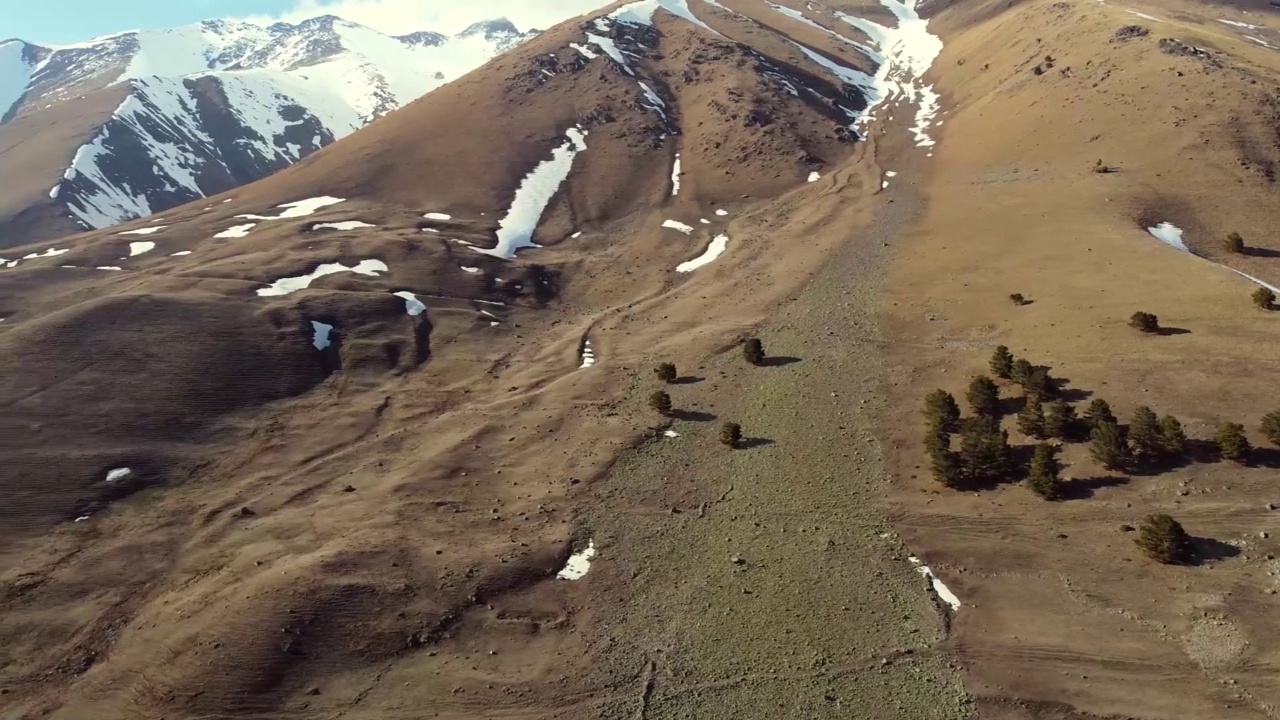 在早春的Teberda保护区山坡上视频素材