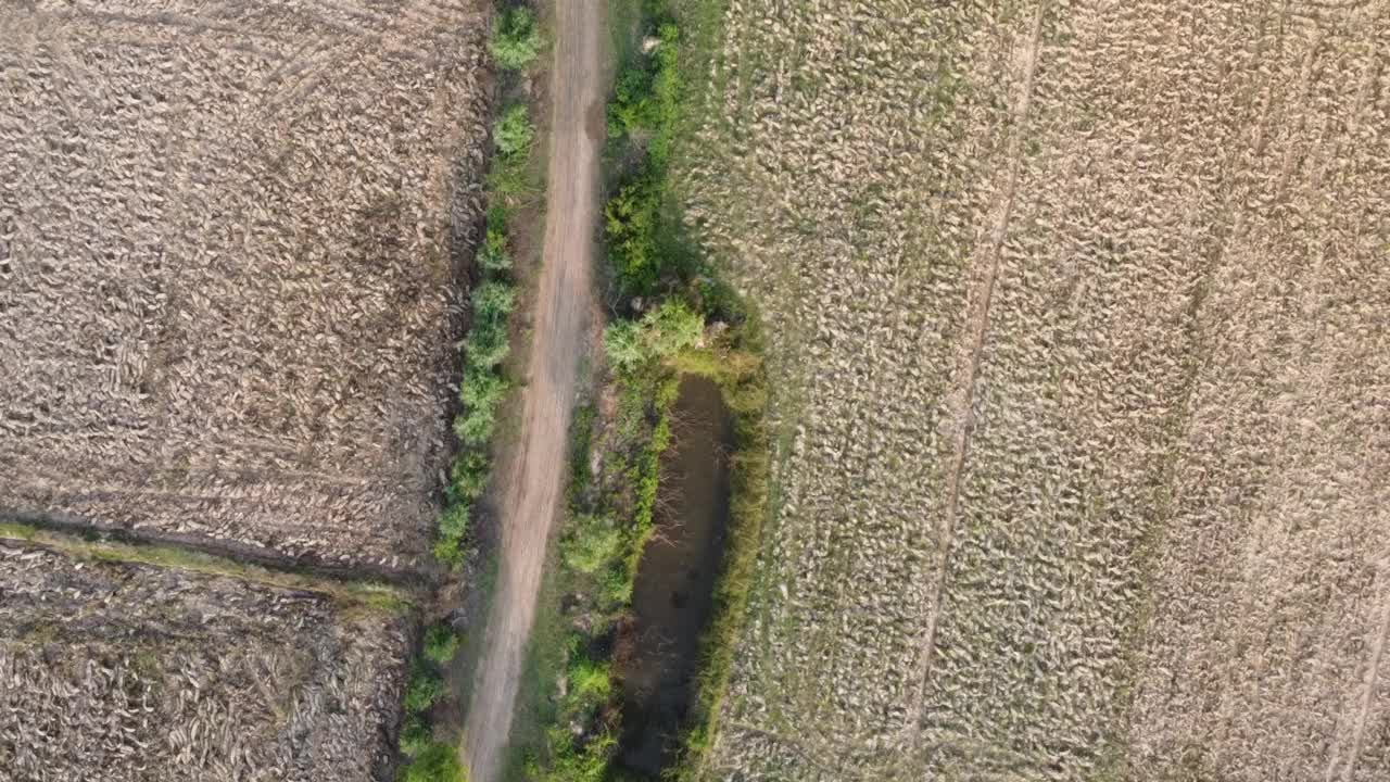 泰国河流域的风景视频下载