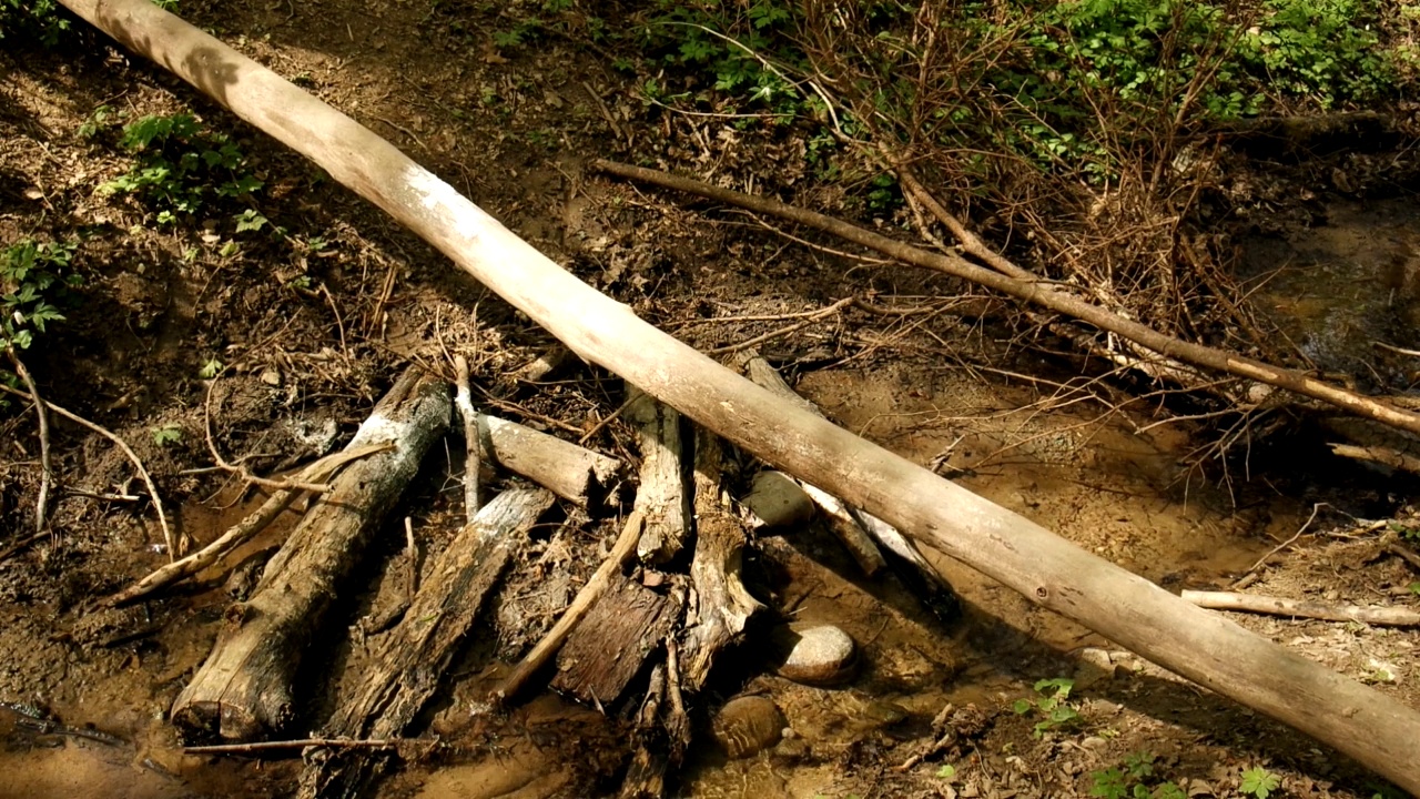 一个不知名的男人穿着牛仔裤和登山靴在一根倒下的圆木上平衡和跨越一条小森林河流。近距离拍摄，实时拍摄，晴天视频素材