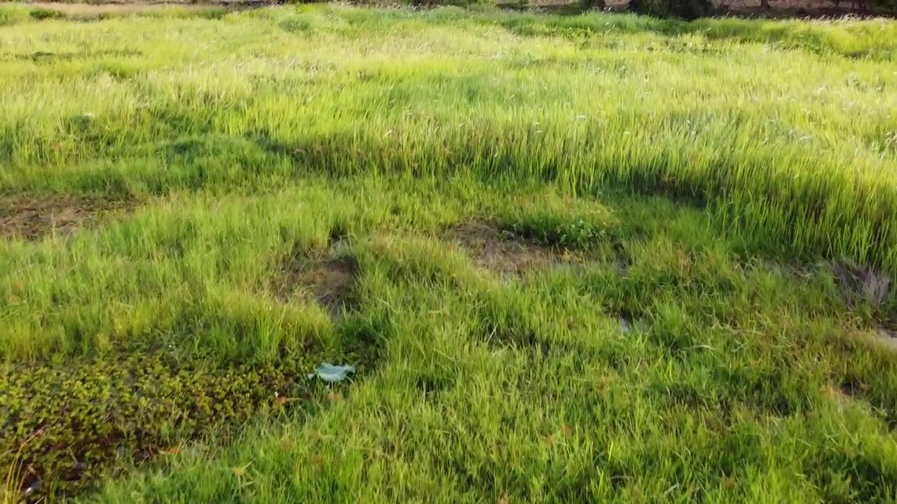 泰国河流域的风景视频素材