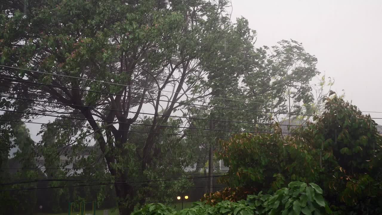 暴雨背景。视频素材