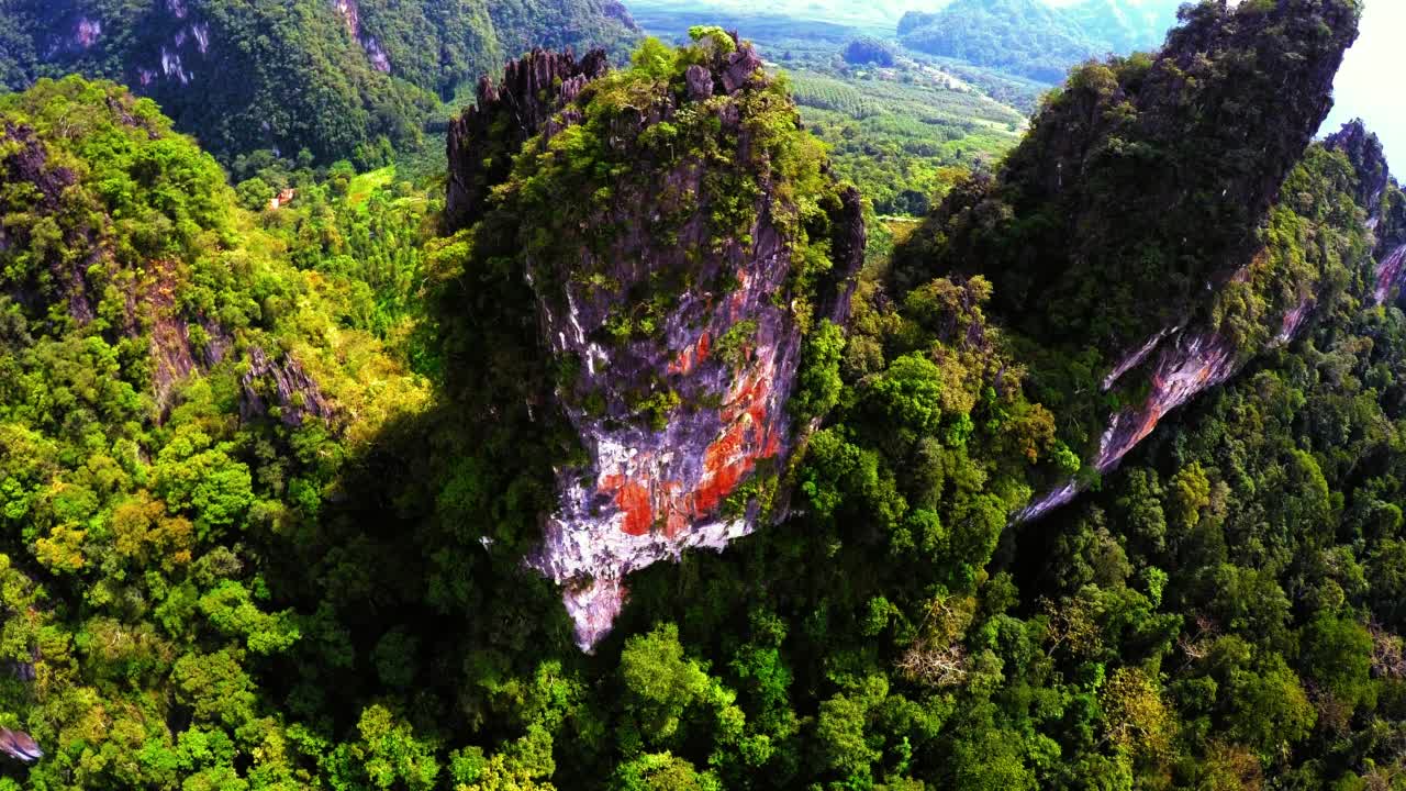 绿色植物在天然岩层上的空中向前生长-泰国曼谷视频素材