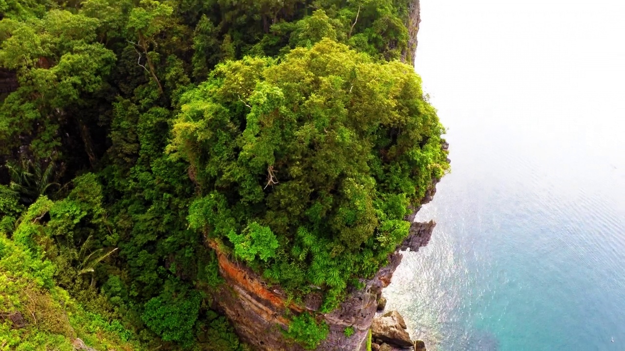 在泰国曼谷的海上，植物在岩石上的空中倾斜生长视频素材