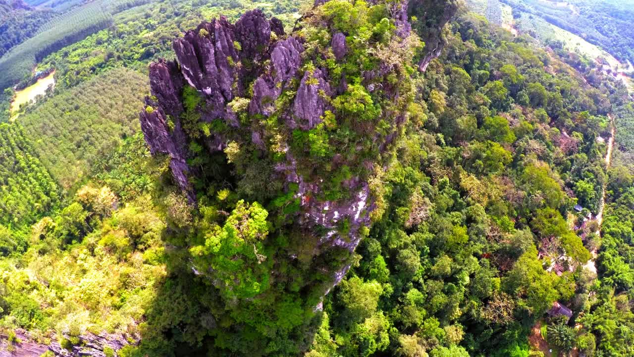 空中平移生长的植物在天然山脉，无人机飞越森林景观-曼谷，泰国视频素材