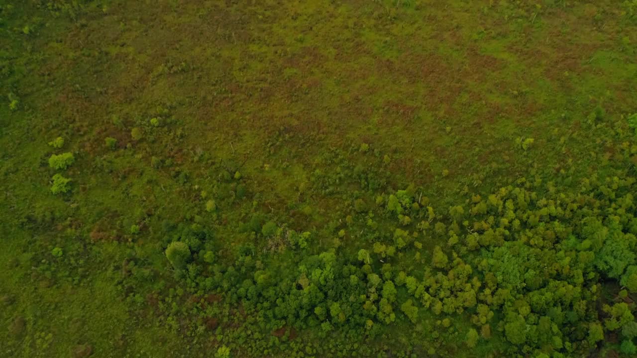 在绿色山脉上空的云雾空中倾斜的风景，向后飞行的无人机在自然景观-波多黎各察卡布科，智利视频素材