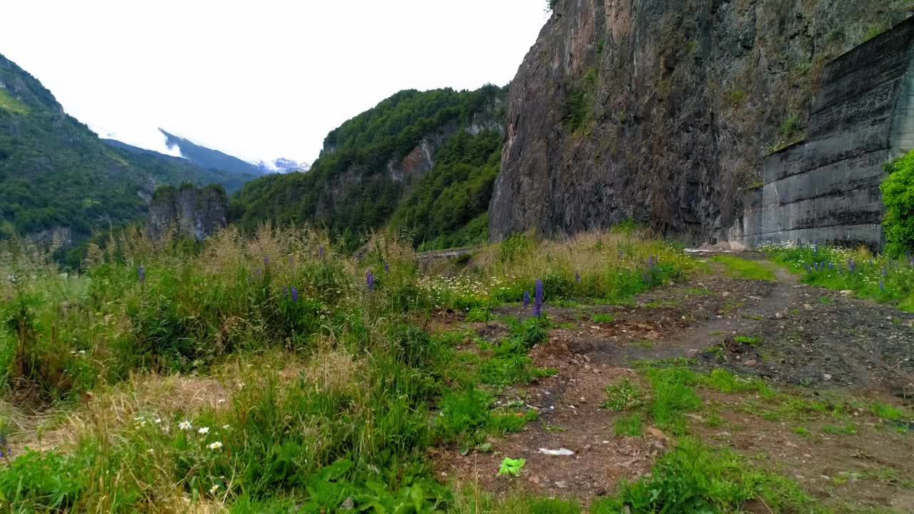 山景中的野花生长-智利的查卡布科港视频素材