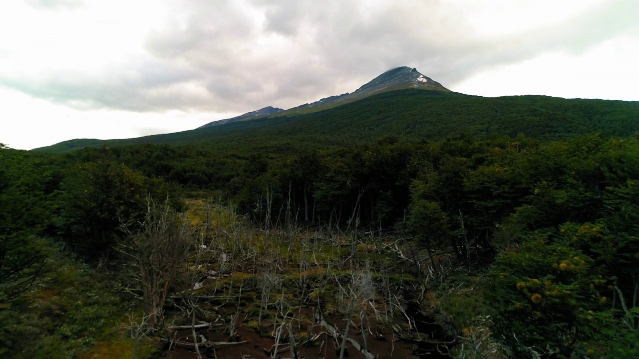 空中:冬季云层下的山峰，无人机在绿色景观上向后飞行-乌斯怀亚，阿根廷视频素材