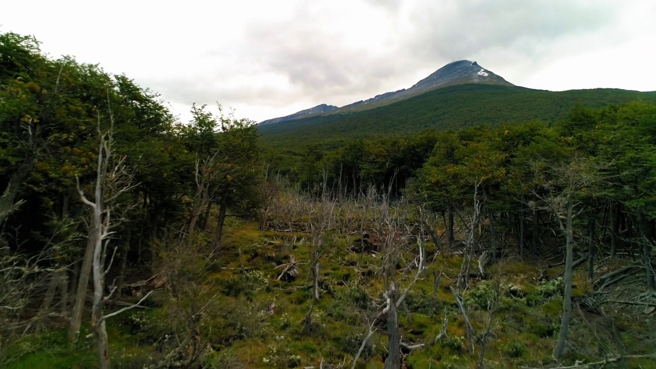 空中:多云天空下的宁静山脉，无人机在绿色景观上向后飞行-乌斯怀亚，阿根廷视频素材