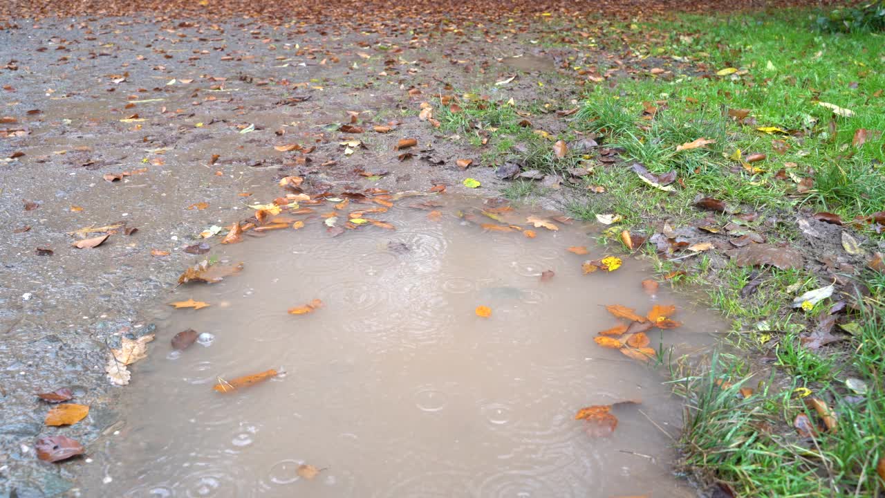 秋天小路上水坑上的雨滴视频素材