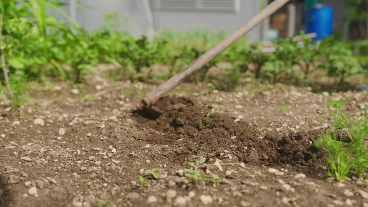 园丁用锄头在自家花园里挖土，手持射击视频素材