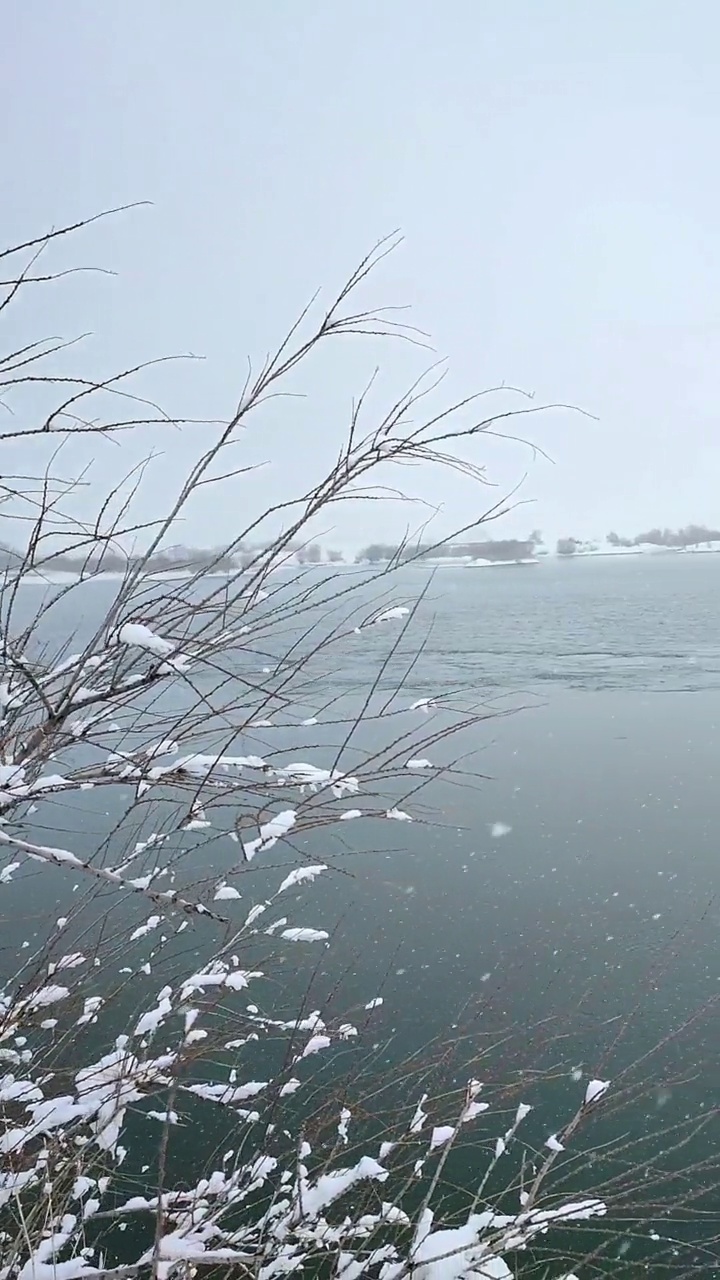 雪河视频素材