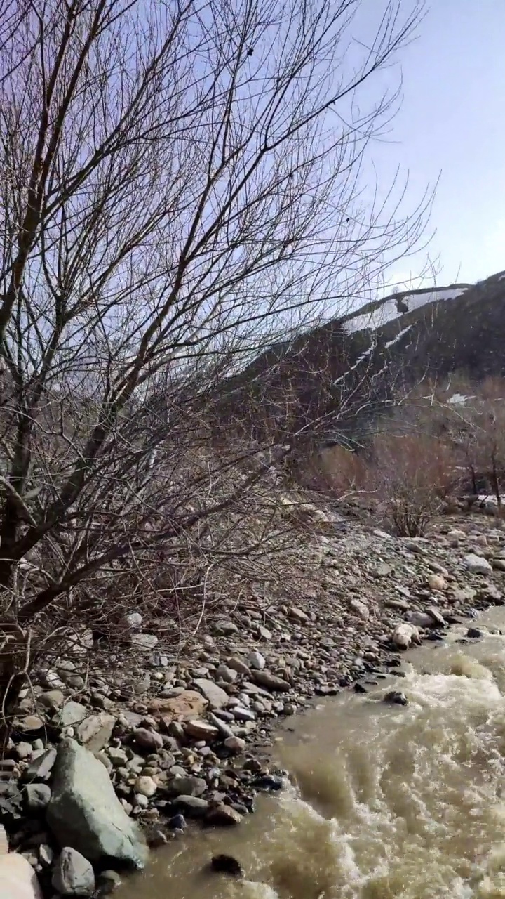 从山上流出的水视频素材