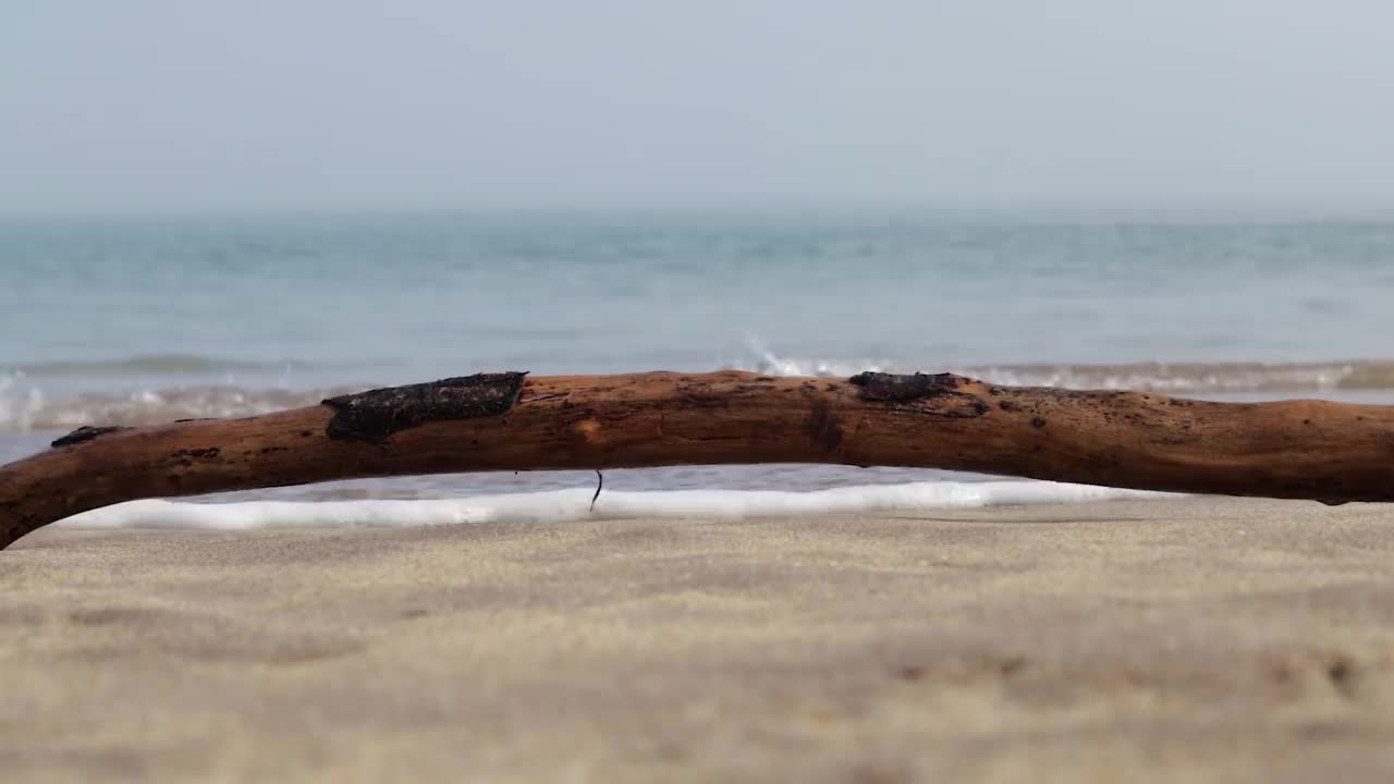 [60帧/秒1080p]蓝色的海浪带着浮木冲击热带沙滩(3/4)视频素材