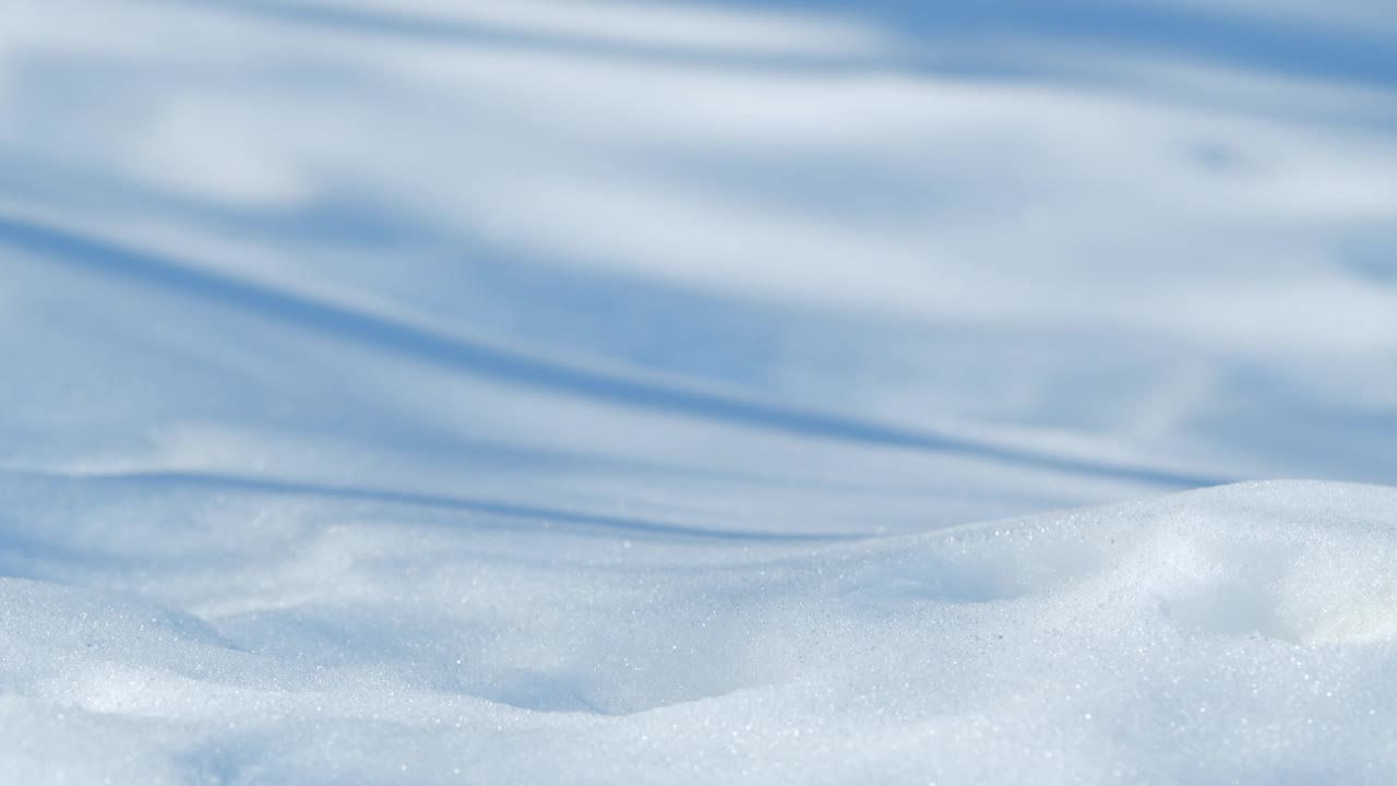 森林里的地面被雪覆盖，树荫遮蔽视频素材