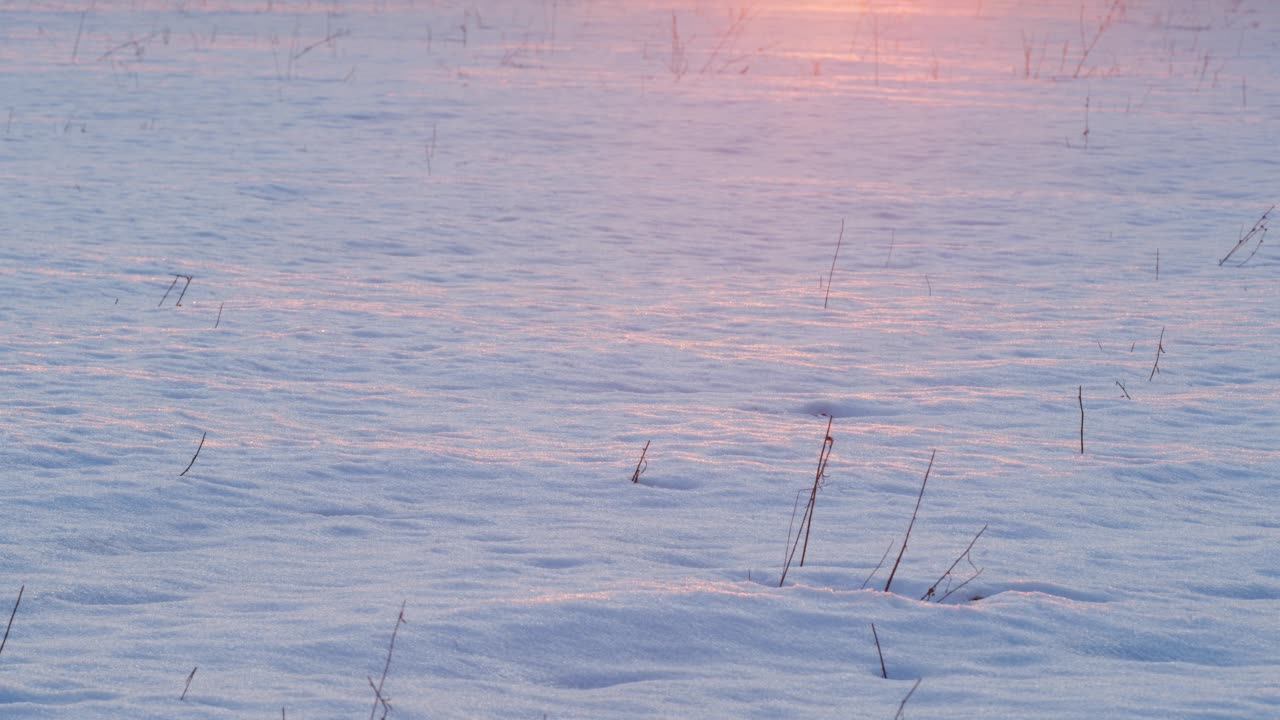 冬天，夕阳的光线被雪地反射回来视频素材