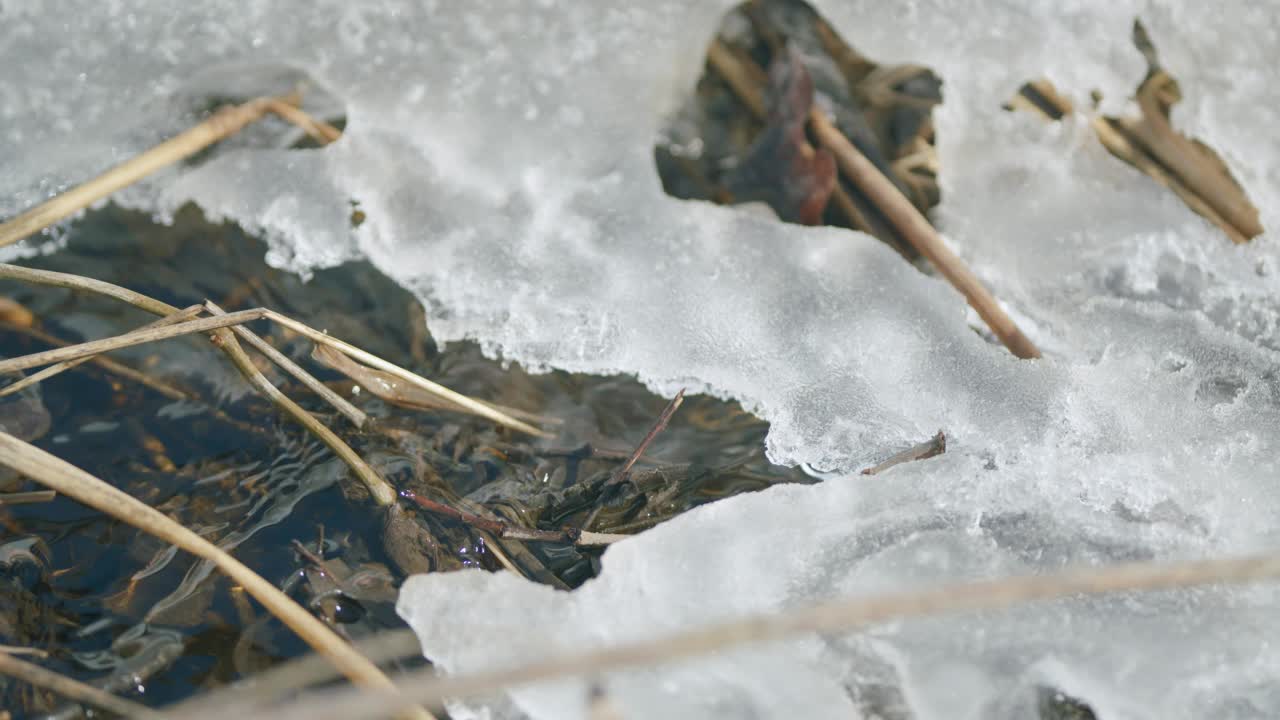 早春春水潺潺，冰雪融化。春天雪融化视频素材