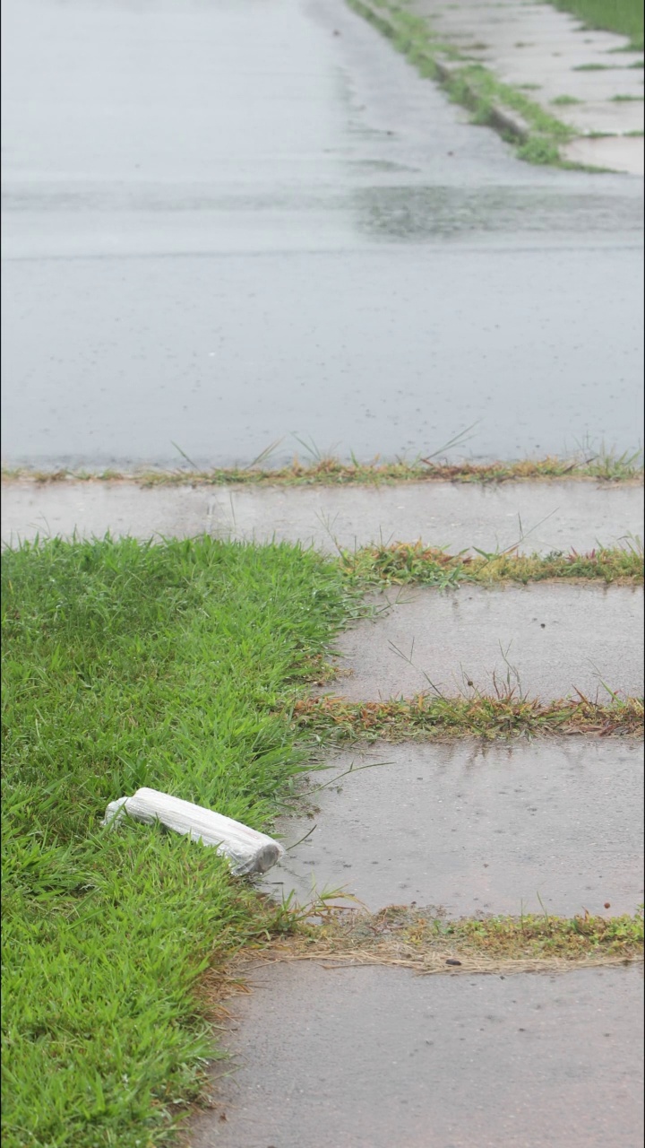 温和的飓风雨和风在郊区的院子里视频素材