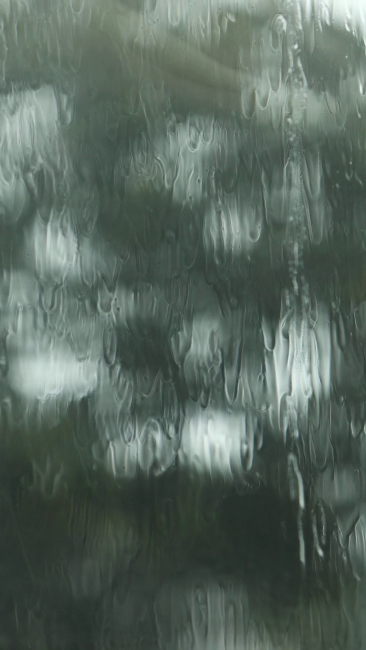 温和的飓风雨和风在郊区的院子里视频素材