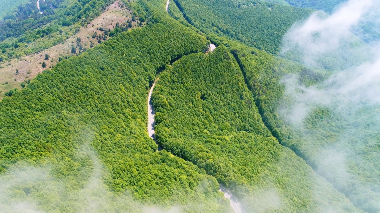 山的山丘上有晨雾和白云。山脉和森林中的小径和徒步旅行。鸟瞰图视频素材