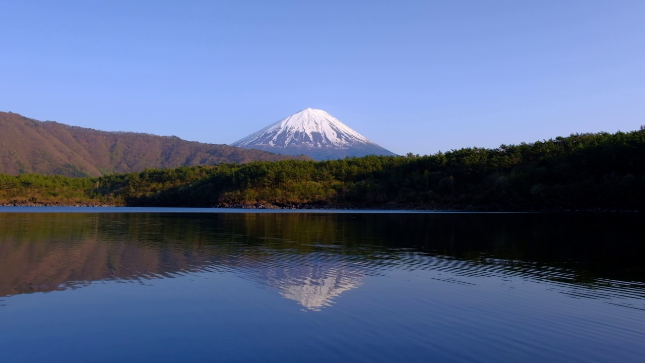 从Saiko湖到富士山视频素材