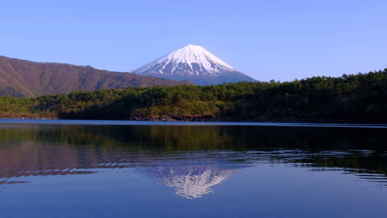 从Saiko湖到富士山视频下载