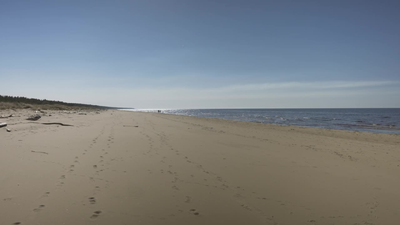 春天沿着波罗的海沿岸的海滩散步视频素材