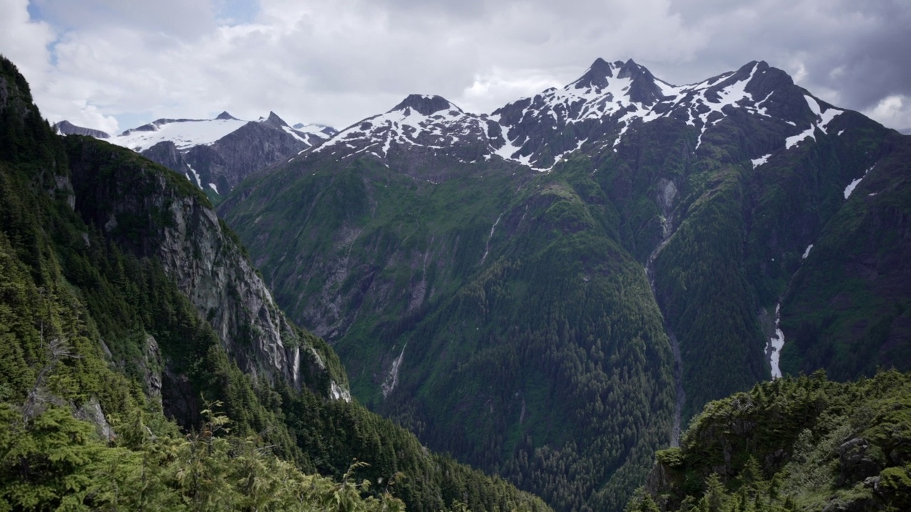 郁郁葱葱的森林和山脉的景色视频素材