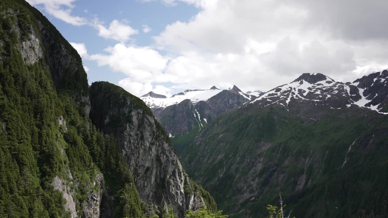 郁郁葱葱的森林和山脉的景色视频素材