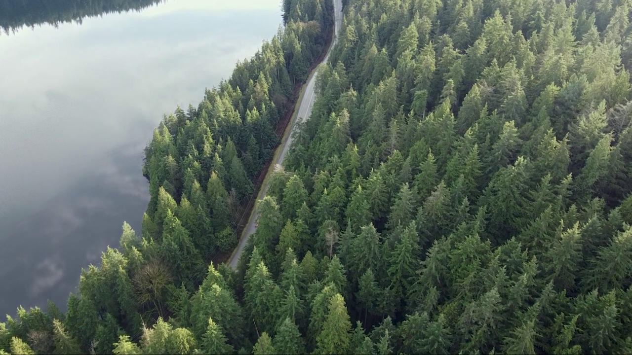 小道路与驾驶汽车周围的森林和一个小湖附近视频素材