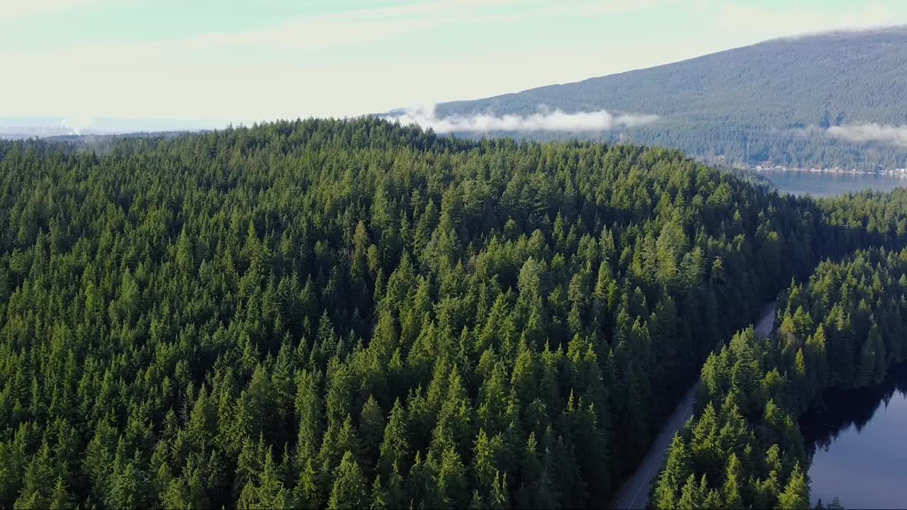 覆盖着翠绿松树的小山丘的鸟瞰图视频素材