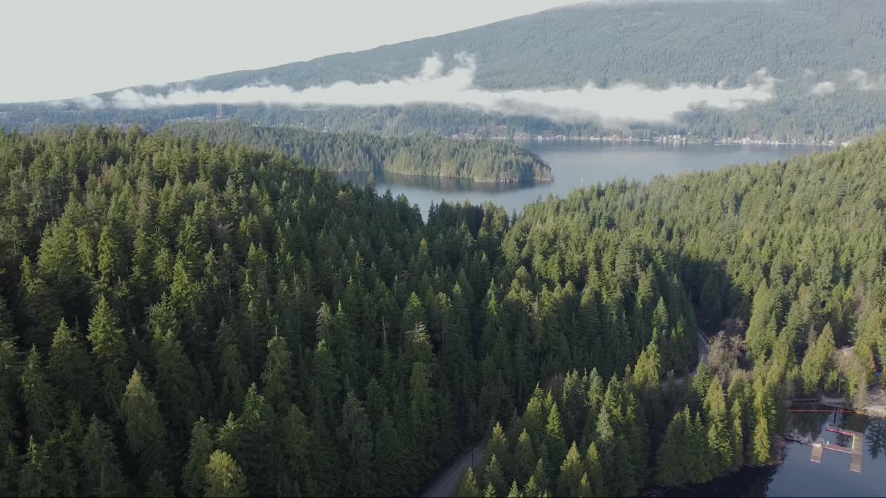 飞越绿色的森林和开放的河流和一个小岛视频素材