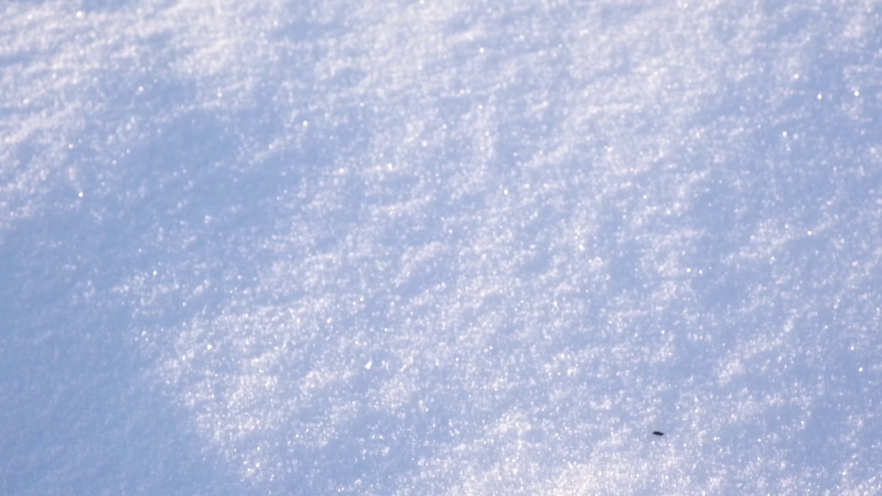 冬天的雪。雪的纹理俯视图雪。结构设计。雪白纹理。雪花。视频素材