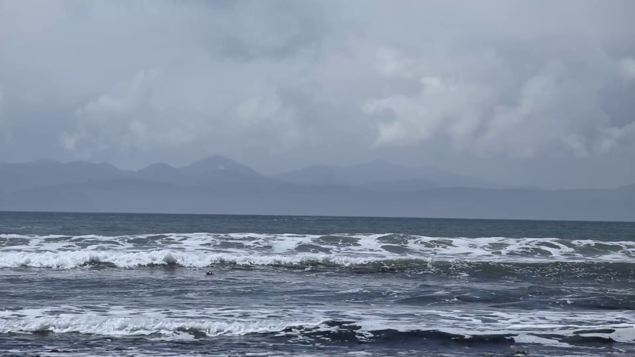 西海岸波视频下载