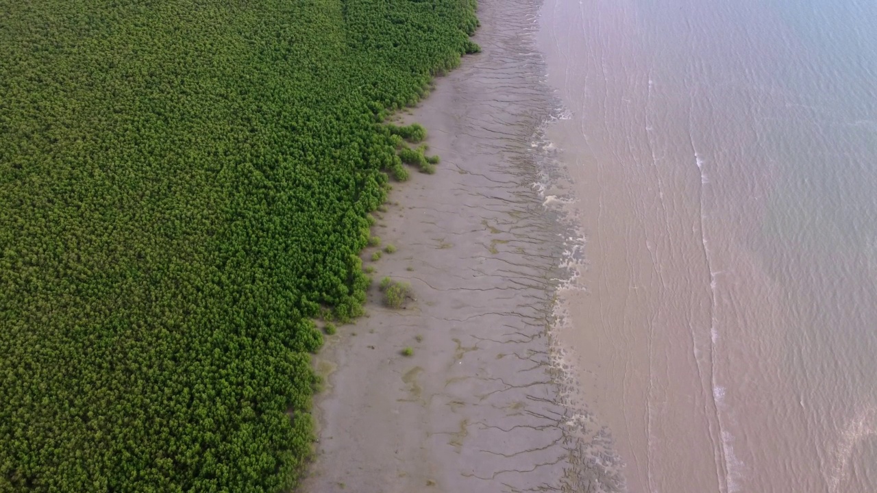 鸟瞰红树林免受海浪侵袭视频素材