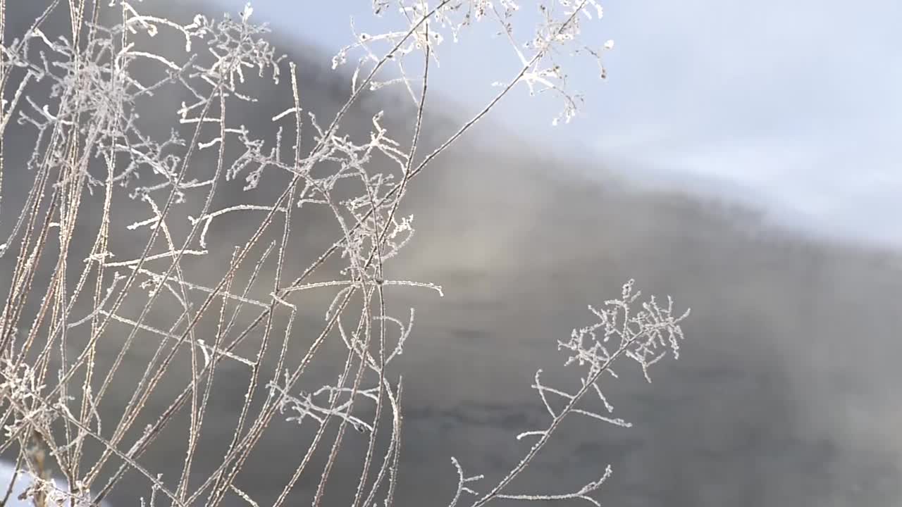 草与霜和河，北海道，日本视频素材