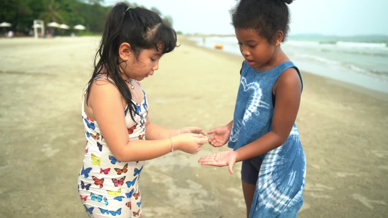 孩子们对在海滩上看小螃蟹很感兴趣。视频下载