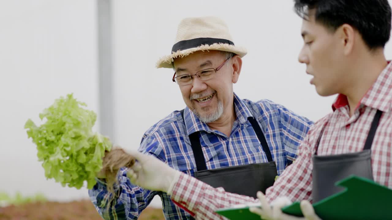 环境友好型视频素材